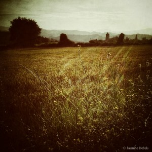 20140611_073320_1_1_1-2