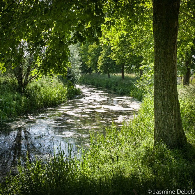Nature,Jasmine Debels,pelgrim,belgie,belgium,belgique