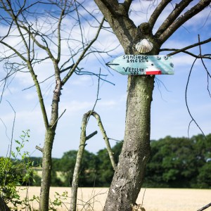 Jasmine Debels (1 van 1)