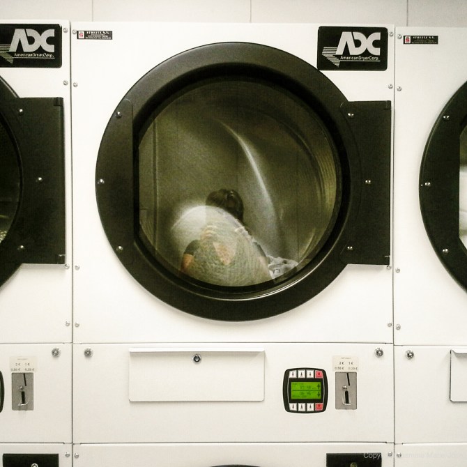 Debels Jasmine,pelgrim, de buizerd, belgie