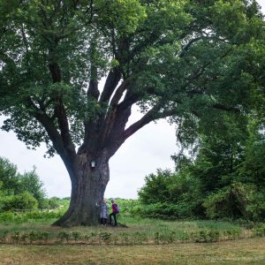 Jasmine Debels (1 van 3)