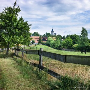 Jasmine Debels (2 van 10)