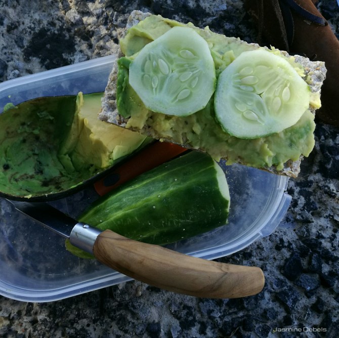 jasmine debels, pelgrim, belgium, de buizerd