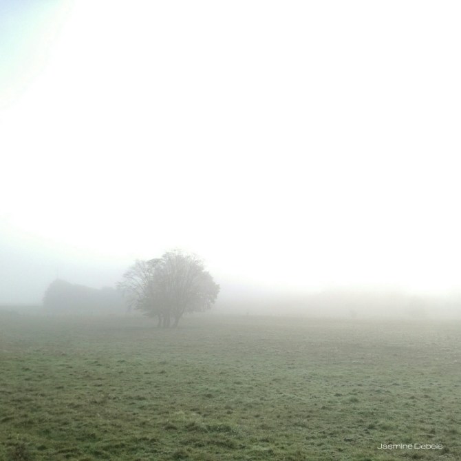 jasmine debels, pelgrim, belgium, de buizerd