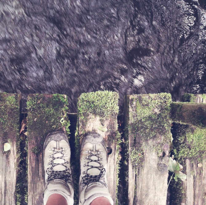 jasmine debels, pelgrim, belgium, de buizerd