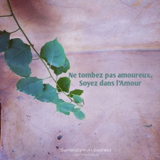 img_20170225_175444_424