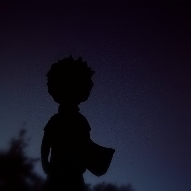 Silhouet van de Kleine Prins