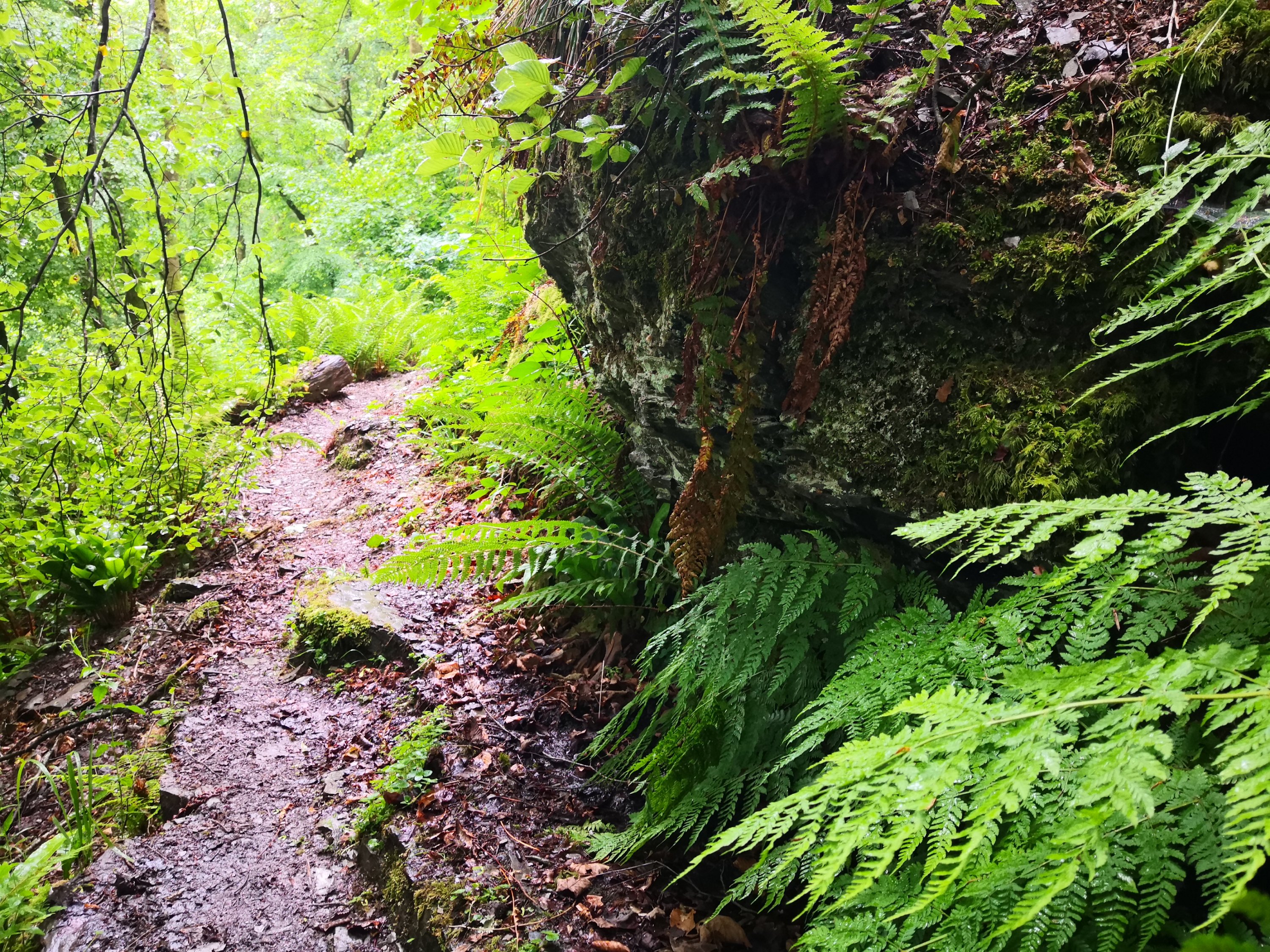 Jasmine Debels,France, pelerine, pelerin,, Marie Madeleine, Sainte-Baume,Saintes-Maries-de-la-mer,Vezelay