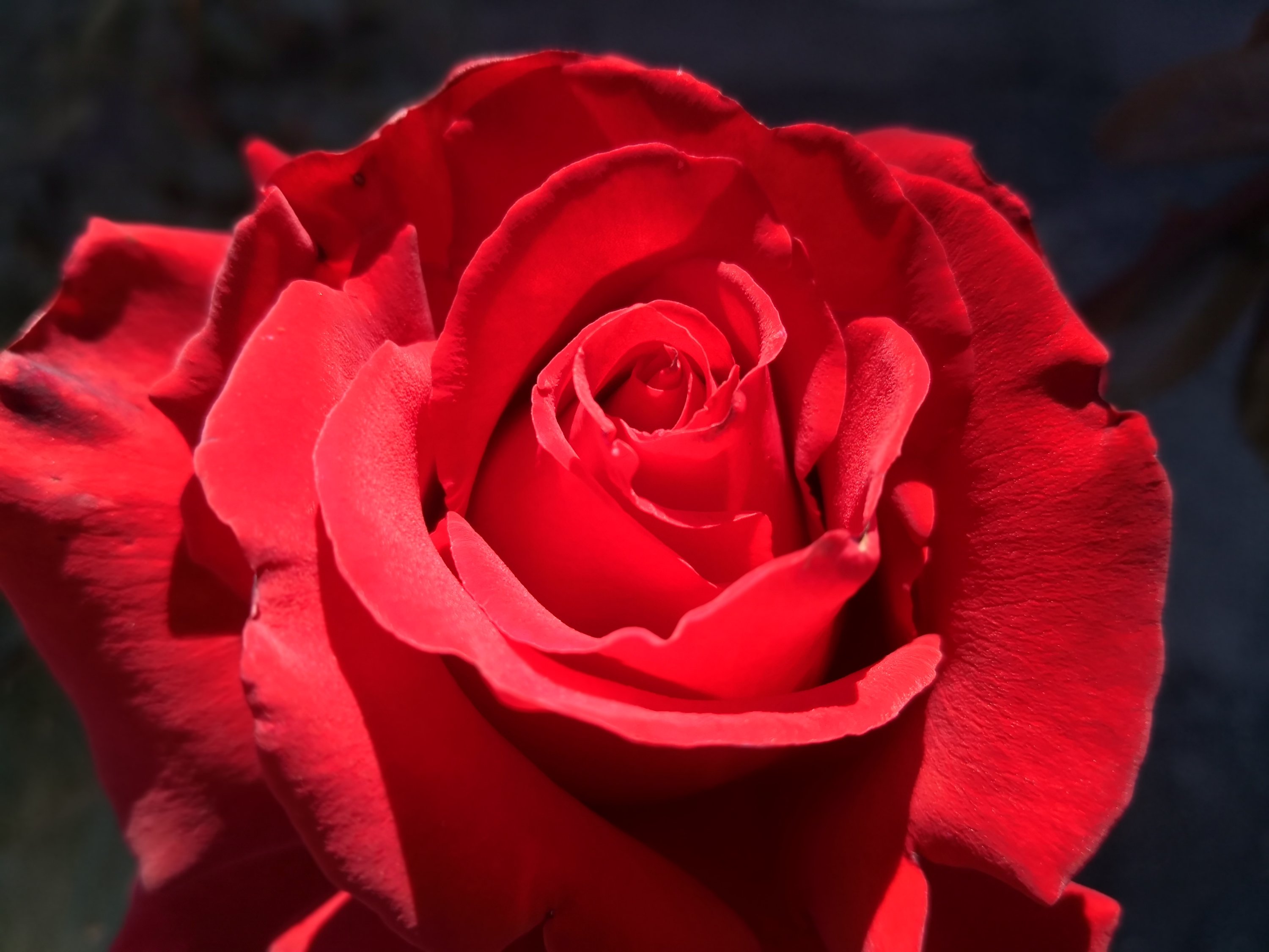 Jasmine Debels,France, pelerine, pelerin,, Marie Madeleine, Sainte-Baume,Saintes-Maries-de-la-mer,Vezelay