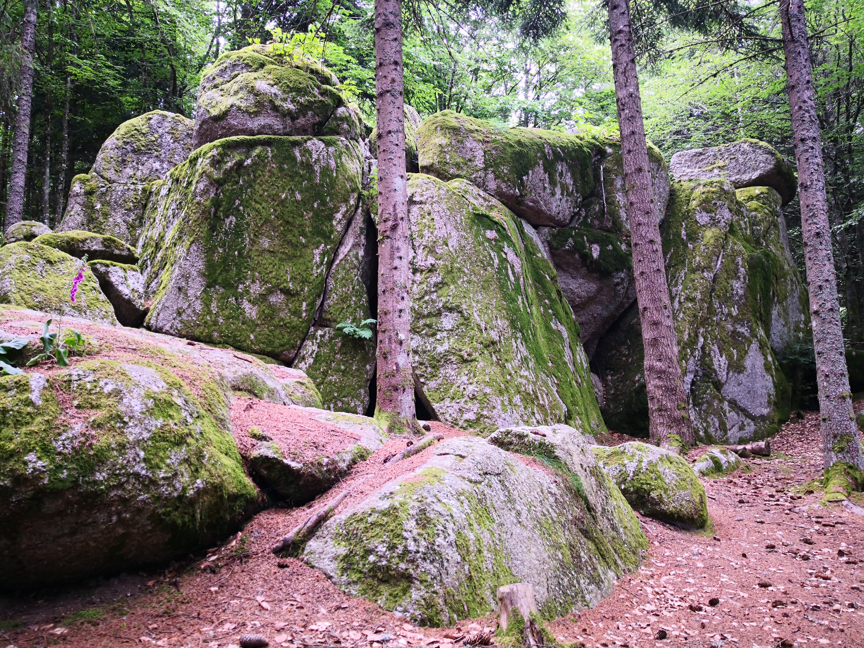 Jasmine Debels,France, pelerine, pelerin,, Marie Madeleine, Sainte-Baume,Saintes-Maries-de-la-mer,Vezelay