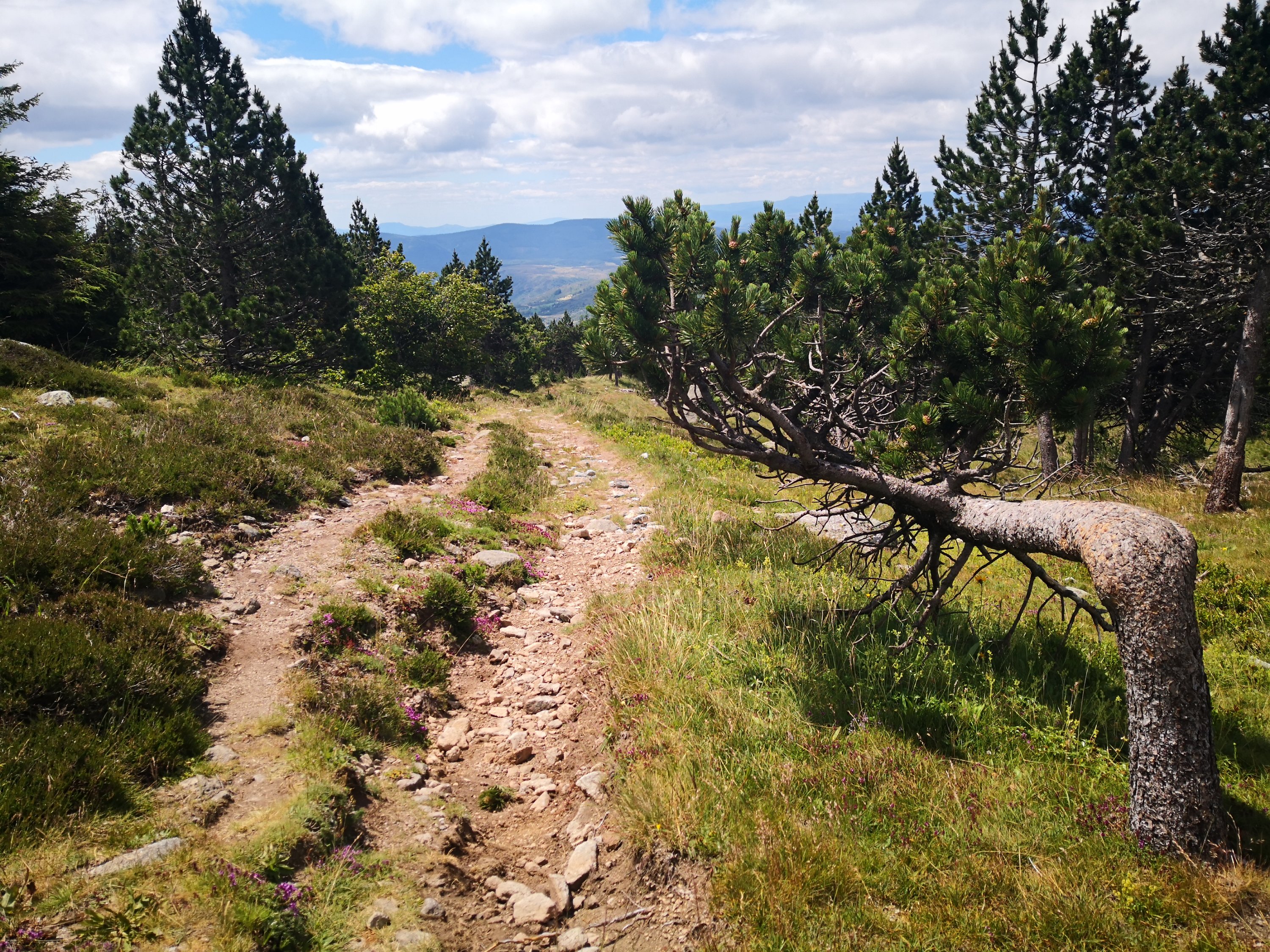 Jasmine Debels,France, pelerine, pelerin,, Marie Madeleine, Sainte-Baume,Saintes-Maries-de-la-mer,Vezelay