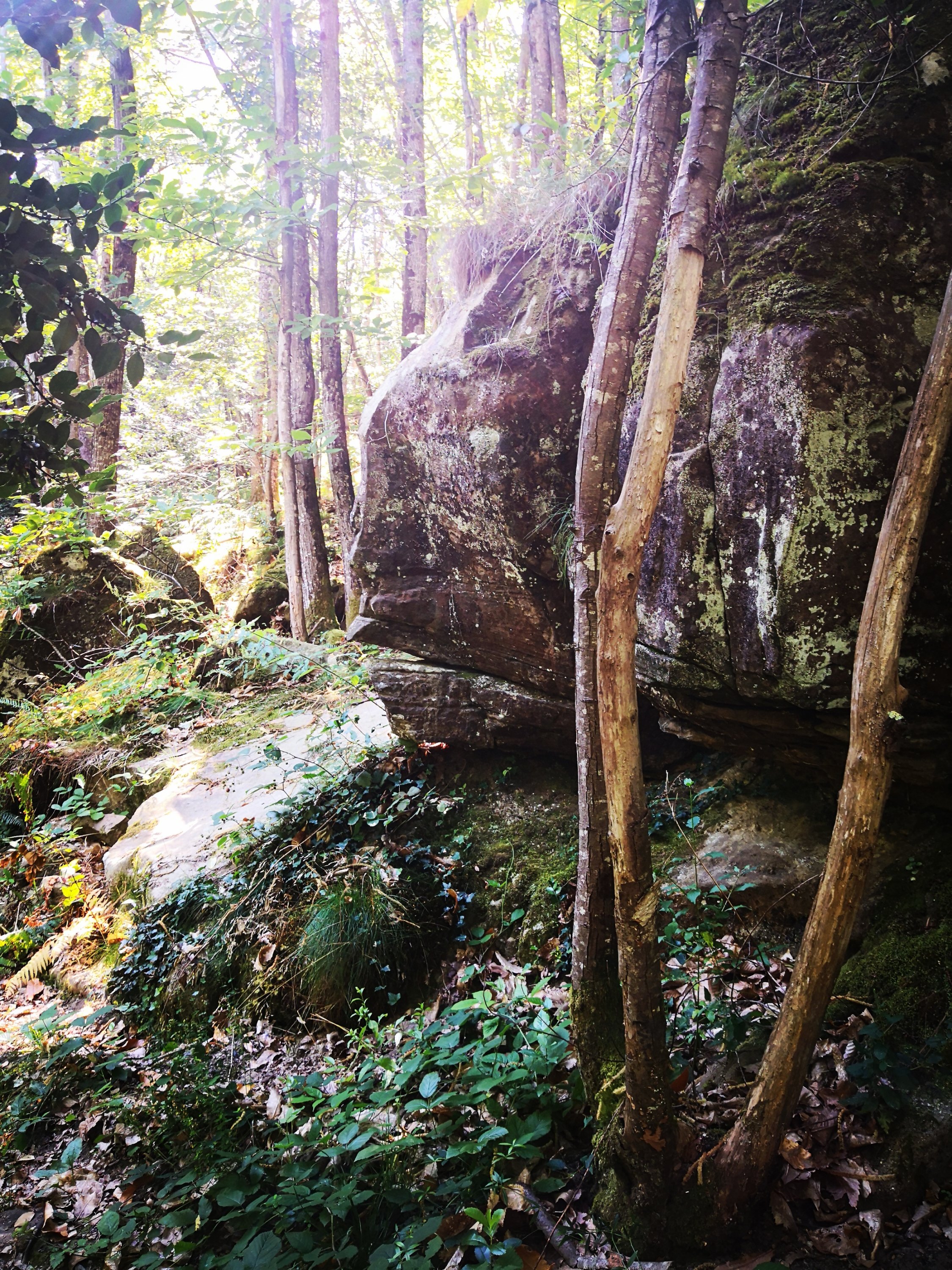 Jasmine Debels,France, pelerine, pelerin,, Marie Madeleine, Sainte-Baume,Saintes-Maries-de-la-mer,Vezelay