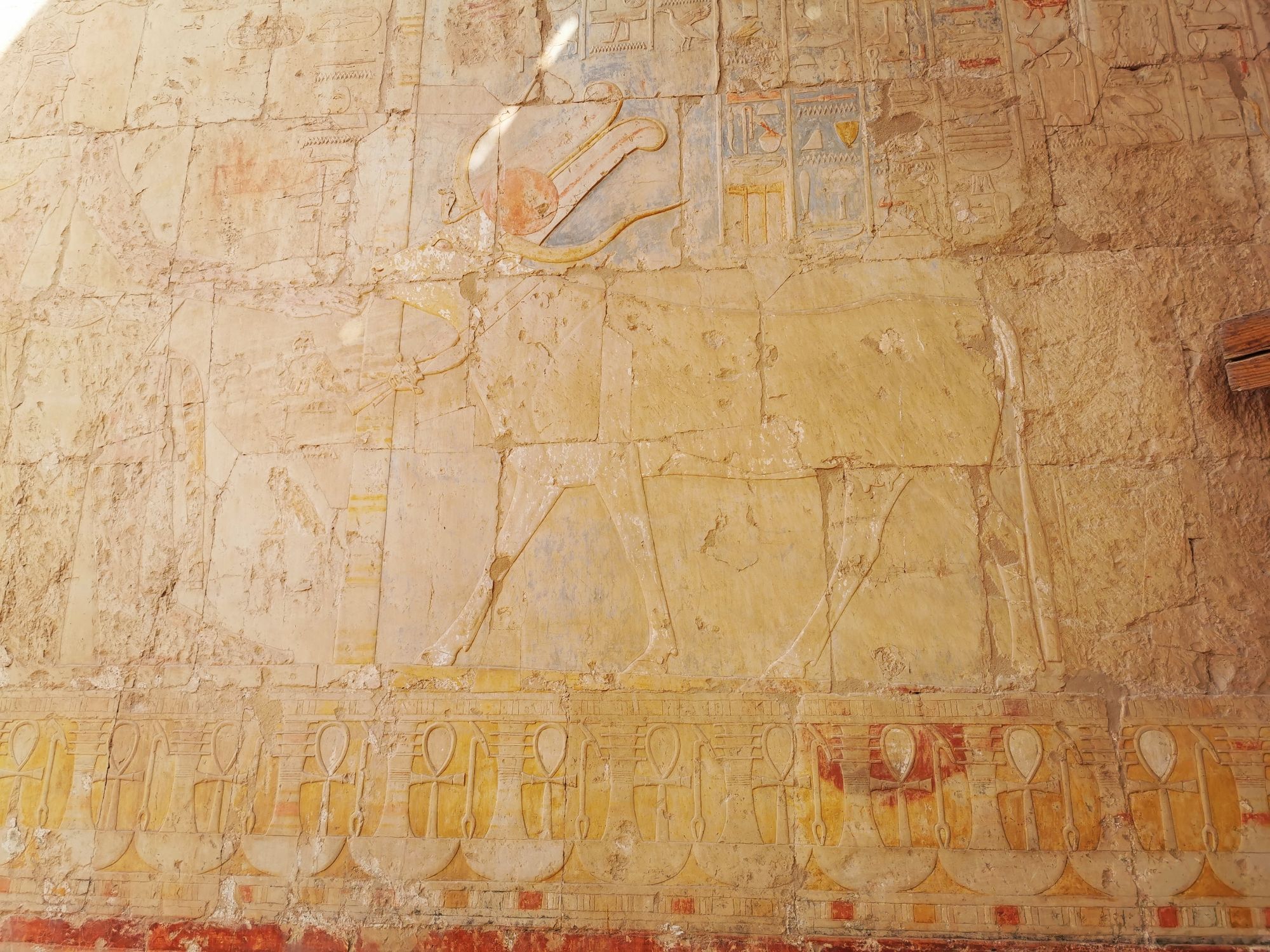 Temple Of Hatshepsut - West bank, jasmine debels, luxor, egypt