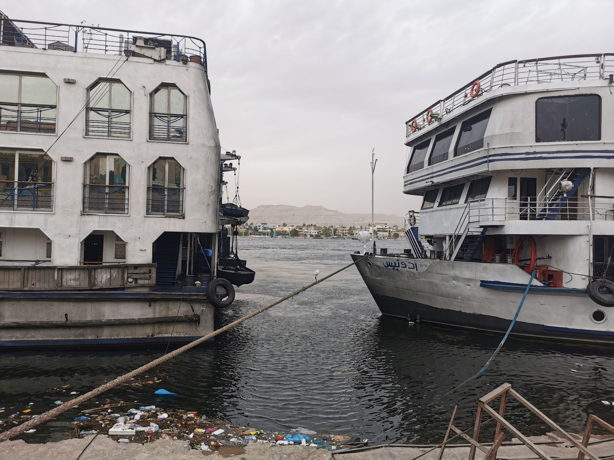 East bank, jasmine debels, luxor, egypt