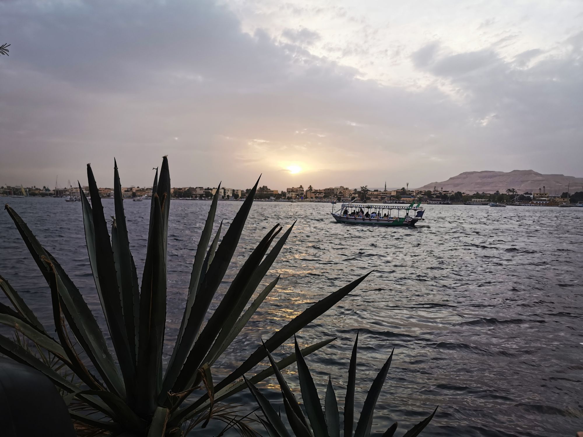 East bank, jasmine debels, luxor, egypt